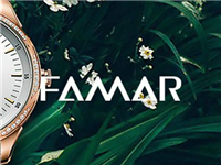 华唛智能科技三合一网站建设