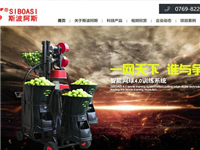 斯波阿斯体育用品三合一网站建设